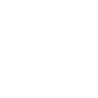 Kiwi Vapor
