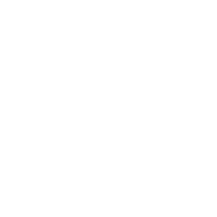 Bearded Viking