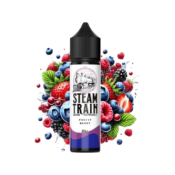 Steam Train Forest Berry 20ml fo 60ml Disposable Edition